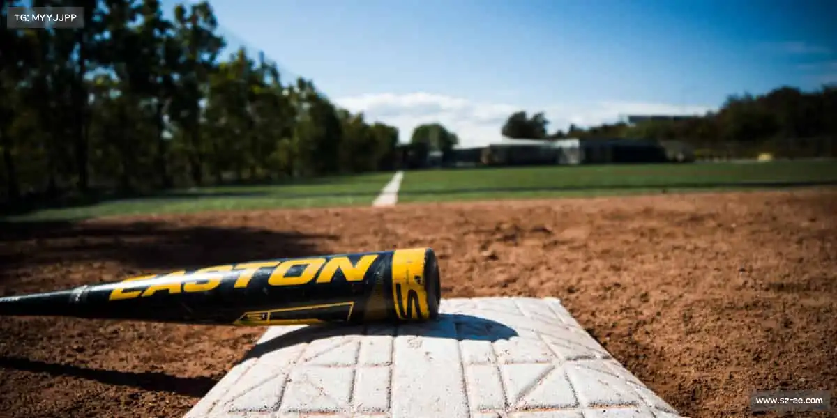 我们的品牌价值